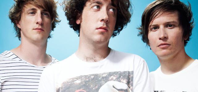 the wombats