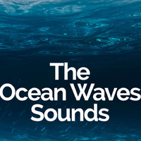 The Ocean Waves Sounds