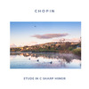 Fréderic Chopin - Études, Op. 10: No.4 Etude in C sharp minor