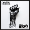 Faylasuf - Peace (Radio Edit)