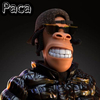 Paca - Bomba