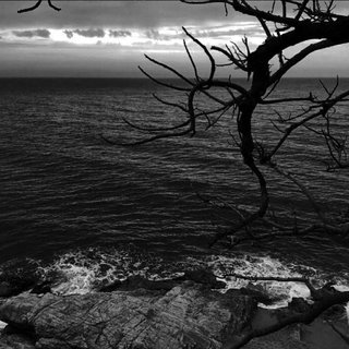 你看不到我的夜 是独自熬过撕裂