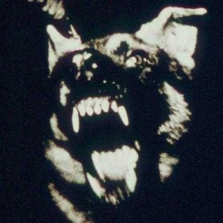 腔调 flow 佼佼者