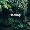 Boone - Healing