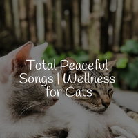 Music for Cats Deluxe