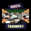 Jerard - House trumpet (Trap remix)