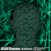 Nishin Verdiano - Enigma (Adrian Becu Remix)