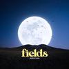 Stephenlucas - Fields