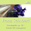 Felix Schwartz - Sonate für Arpeggione und Klavier in A Minor, D. 821: II. Adagio