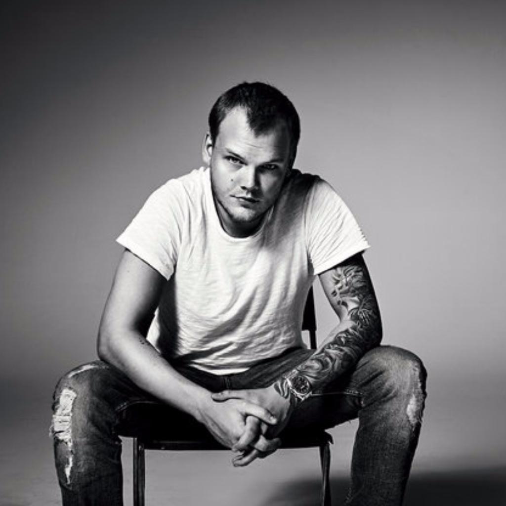 avicii写真图片-艾维奇图片高清-avicii标志图片(16p)