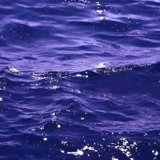 拒外患者|孤独的人有自己的泥沼