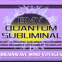 Brainwave Mind Voyages