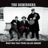 The Reminders - What Was That Thing Called Sorrow