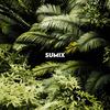 Sumix - Stay The Night