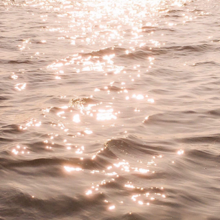 「雾散愛意泛滥」