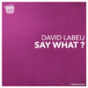David Labeij - Say What ? (Jos Lok Remix)