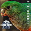 Heliotrope - Caged Birds