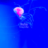 lo-key design - Ruby