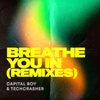 Capital Boy - Breathe You In (Anton Ishutin Remix)