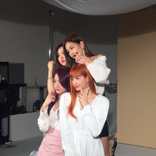 BLACKPINK / Blink专属