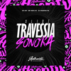 DJ Shadow ZN - Slide Travessia Sonora