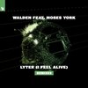 Walden - Lyter (I Feel Alive) (Scorsi Extended Remix)