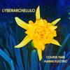 Lyberarchelulo - Course Park Humms Electric (feat. Amythyst Kiah, Erin Dalton, Taylor Green & Tandy Fleming) (Single Version)