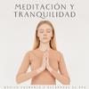 Meditación de Música Asiática Zen Spa - Tonos De Armonía