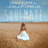 Paul Damon - Soulmate (Instrumenal Radio Edit)