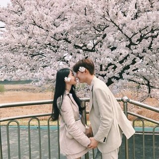 高甜情歌来袭！单身狗速速退避