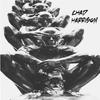 Chad Harrison - Boy I Love you