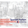 Spanish Harlem Orchestra - Boogachason