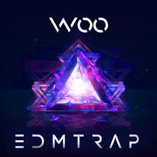 WOO丨低音旋涡·808陷阱-TRAP-Vol.02