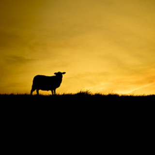 不会真的有人睡不着不听说唱吧