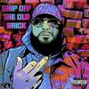 Bub Styles - CHIP OFF THE OLD BRICK
