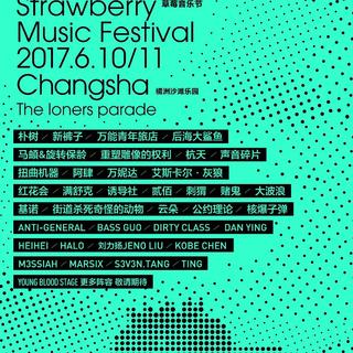 2017长沙草莓音乐节