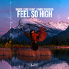 Highup - Feel so High