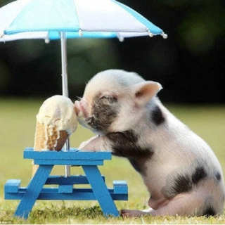 看过再多风景 眼眸依旧如初清澈