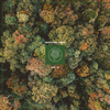Beats for Trees - Ginkgo