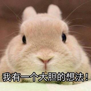 我这样唱你没意见吧？