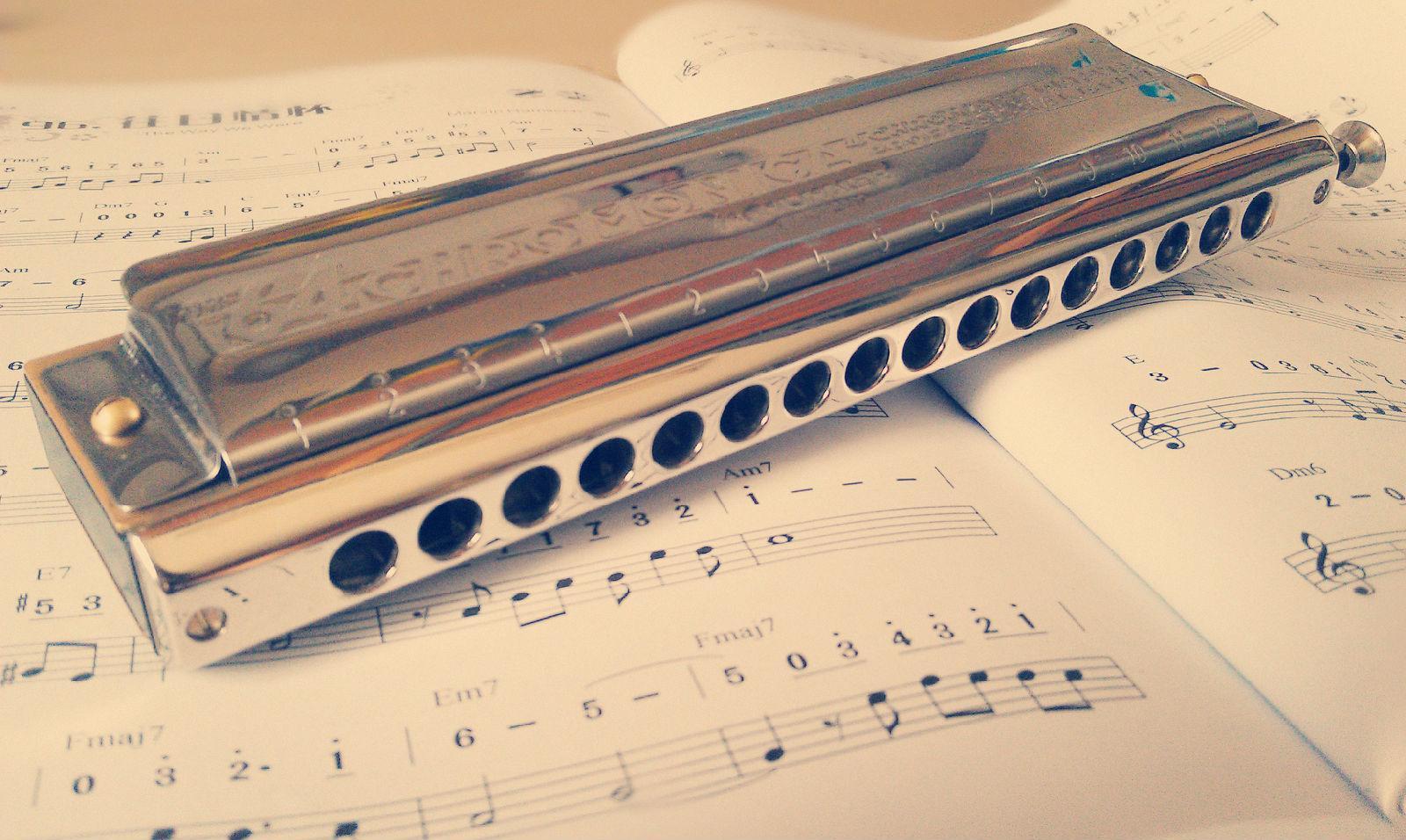 【小亮口琴】珊瑚海