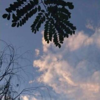 【精选】全网流行歌曲