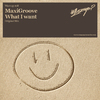 MaxiGroove - What I Want (Original Mix)