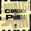 Dj Rayan - Cavalgada Vs Pumba