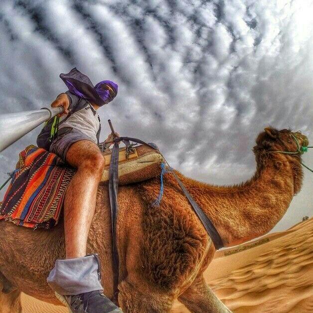 毛里塔尼亚mauritaniya