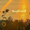 Violin王彦力 - Sunflower