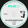 The Audio Manipulator - Mangle (Original Mix)