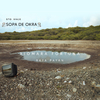 Xiomara Fortuna - 5to viaje SOPA DE OKRA