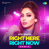 DJ Shilpi Sharma - Right Here Right Now - Remix