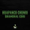 DJ DAVI - Huapango Chunri Shambhal Gori